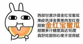 你们吃瓜都去哪里吃的图片,跟随图片探寻美食之旅  第2张